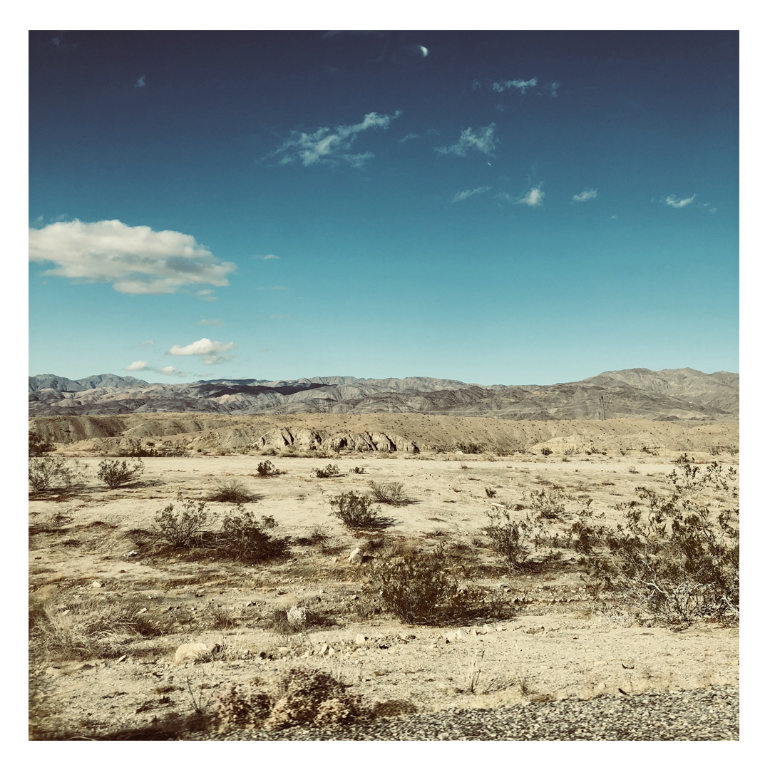 joshua tree desert