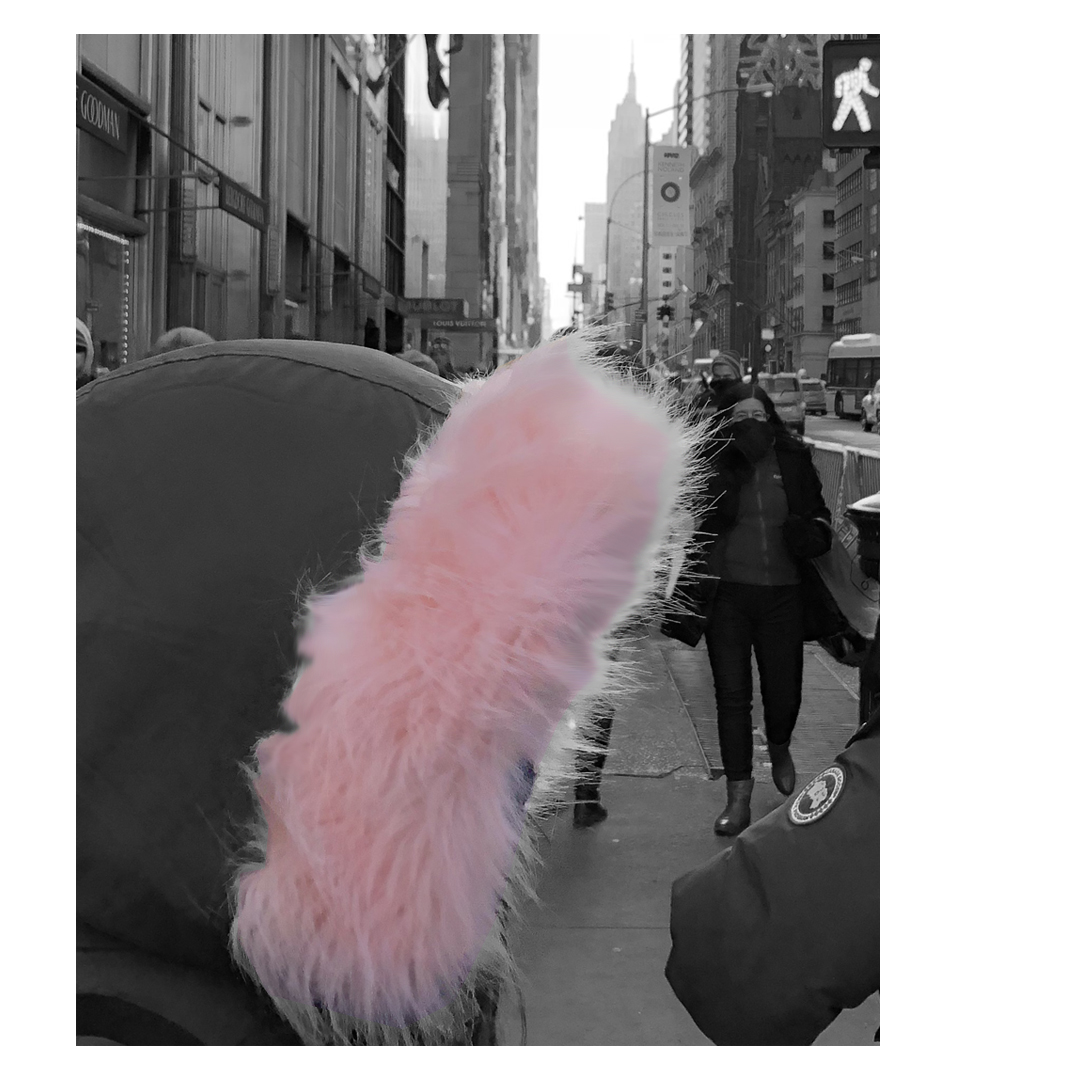 venus in furs2