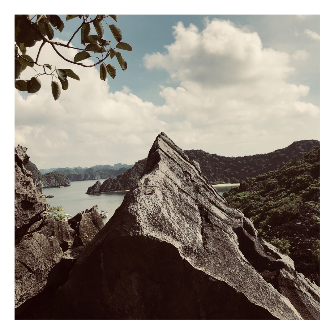 tof vietnam22