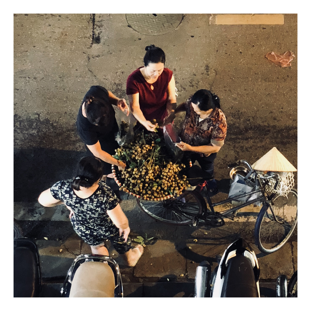 tof vietnam5